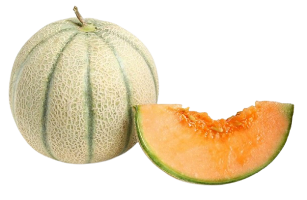 CANTALOUPE__MELON