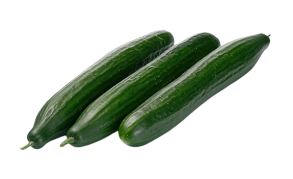 CUCUMBER