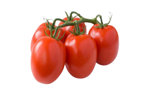 ELONGATED GRAPE TOMATO