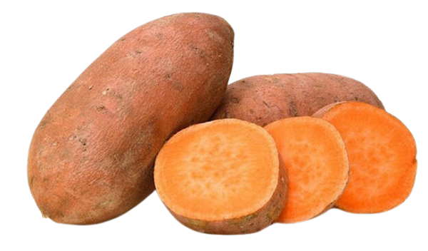 SWEET_POTATO